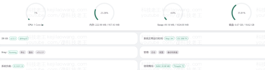 RackNerd VPS 最具性价比的服务器，约10美金/年 1Gbps/2000G/月